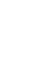 Kivi